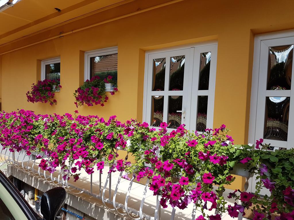 Ilona Vendeghaz Hotel ชิโอฟก ภายนอก รูปภาพ